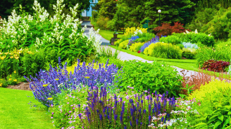 botanical gardens